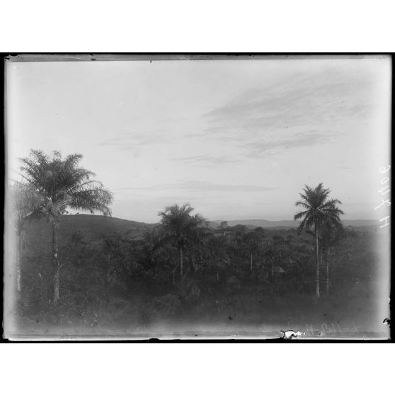 Foumban. Aspect de la contrée vers l'ouest. [légende d'origine]