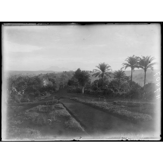 Foumban. Aspect de la contrée vers le sud. [légende d'origine]