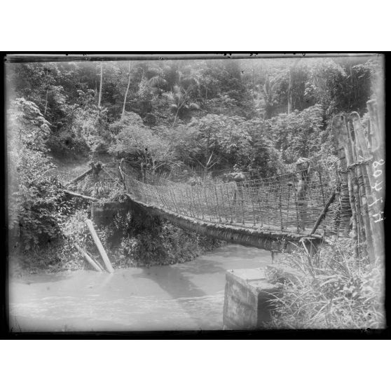 Piste de Foumban à N'Kongsamba. Ekom. Le pont de lianes sur le N'Kam. [légende d'origine]