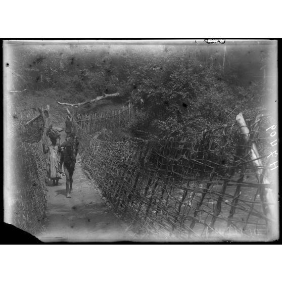 Piste de Foumban à N'Kongsamba. Ekom. Le pont de lianes sur le N'Kam. [légende d'origine]