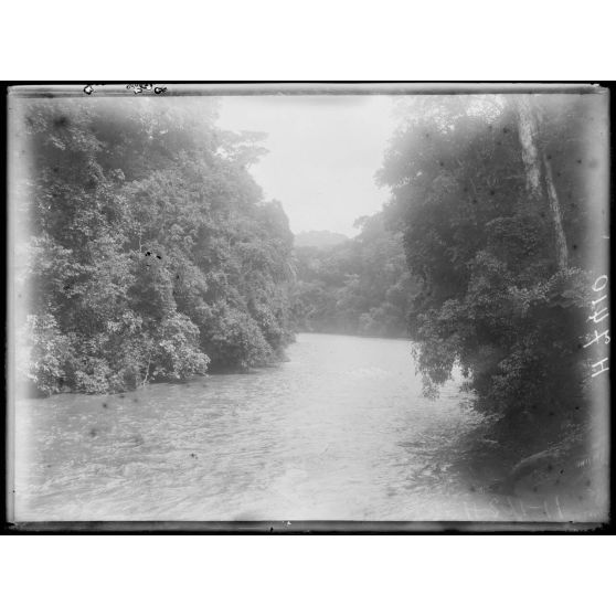 Piste de Foumban à N'Kongsamba.Le pont de lianes sur le N'Kam. [légende d'origine]