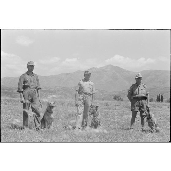 Dressage de chiens au sein d'une compagnie cynophile du terrain d'aviation de Kastelli.