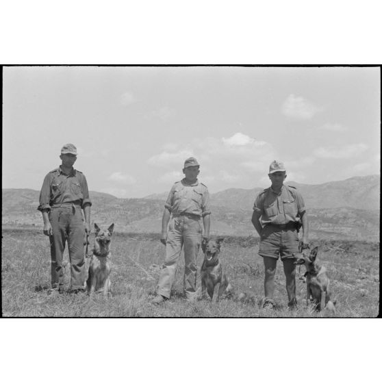 Dressage de chiens au sein d'une compagnie cynophile du terrain d'aviation de Kastelli.