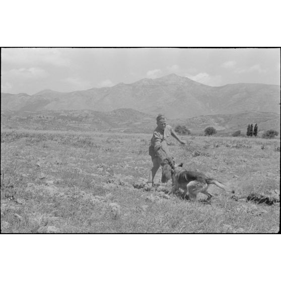 Dressage de chiens au sein d'une compagnie cynophile du terrain d'aviation de Kastelli.
