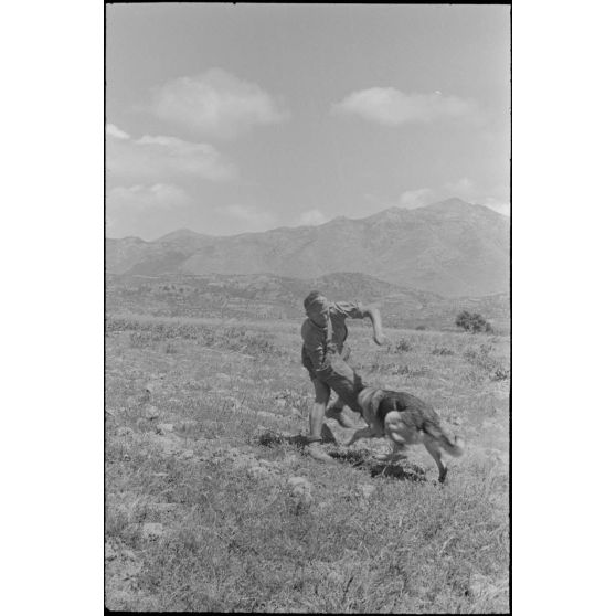 Dressage de chiens au sein d'une compagnie cynophile du terrain d'aviation de Kastelli.