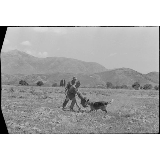 Dressage de chiens au sein d'une compagnie cynophile du terrain d'aviation de Kastelli.