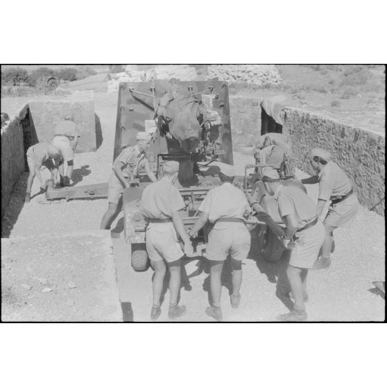 Exercice de déplacement d'une pièce de DCA de 8,8 cm FlaK.