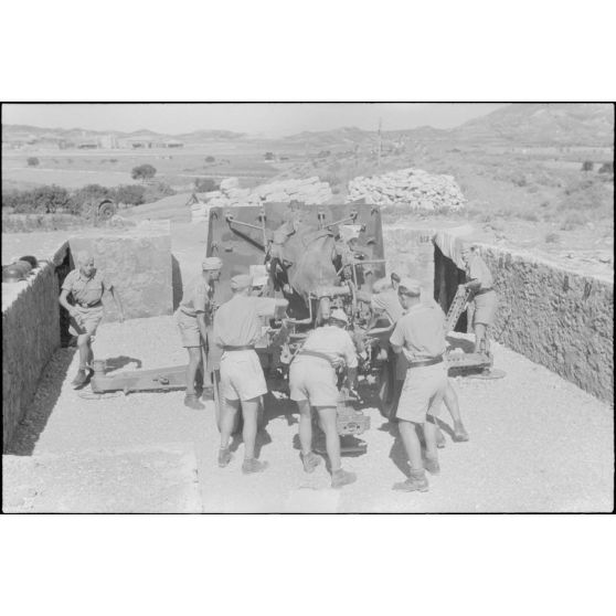 Exercice de déplacement d'une pièce de DCA de 8,8 cm FlaK.