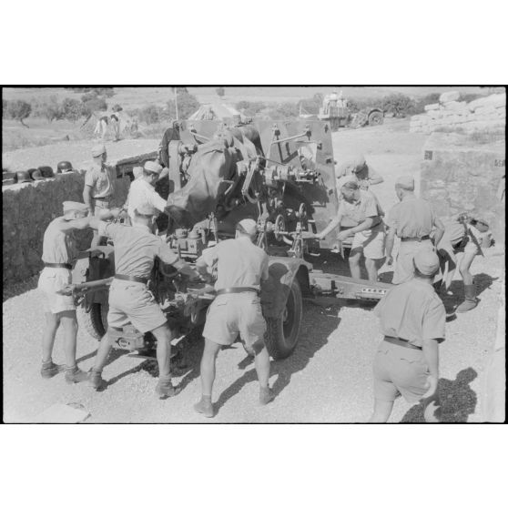 Exercice de déplacement d'une pièce de DCA de 8,8 cm FlaK.