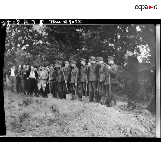 Correspond à la référence TERRE 296-7075.