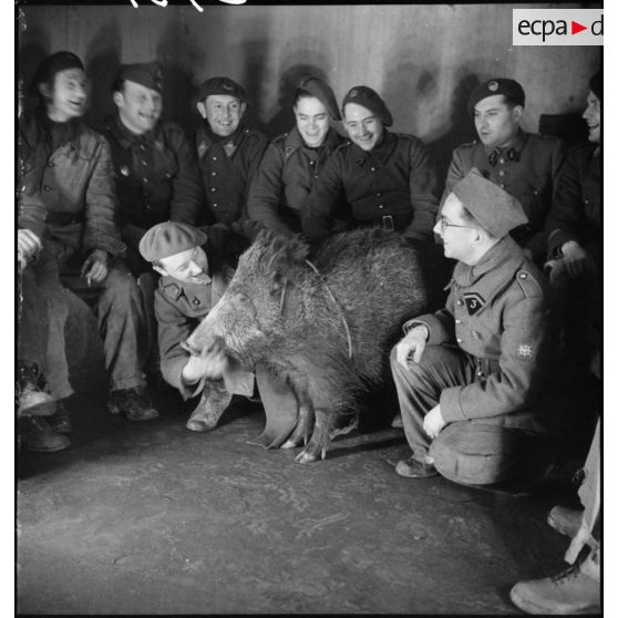 Photographie de groupe de soldats posant avec un sanglier dans un ouvrage de la ligne Maginot.