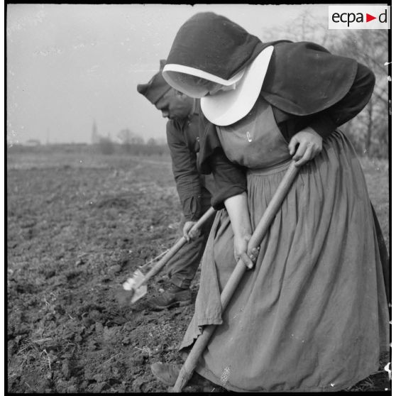 Un soldat bêche un champ au côté d'une religieuse en Alsace.