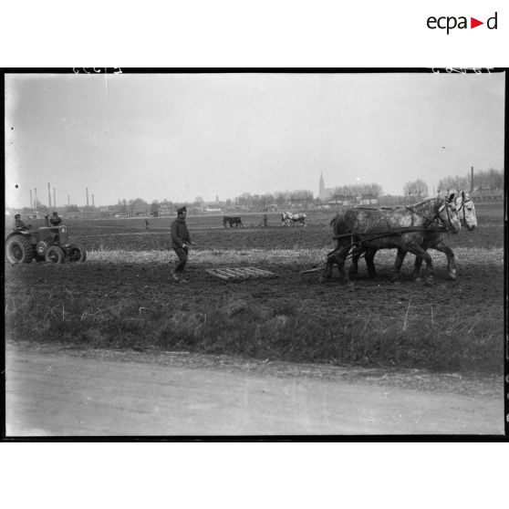 Des soldats de la 5e armée travaillent dans un champ.
