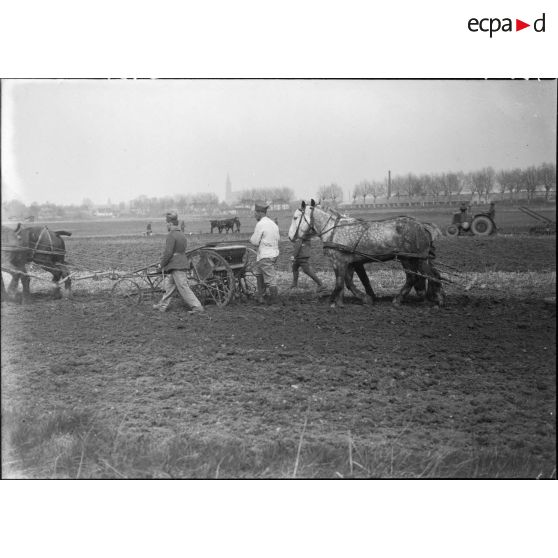 Des soldats de la 5e armée travaillent dans un champ.