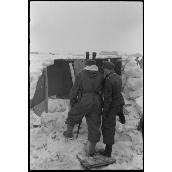 Dans le secteur de Sytschewka, lors de l'opération Büffelbewegung, la retraite allemande se poursuit.