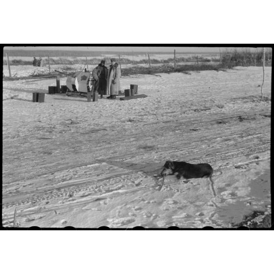 Dans le cadre de l'opération Büffelbewegung, la protection d'une route enneigée par des canons de 2 cm FlaK.