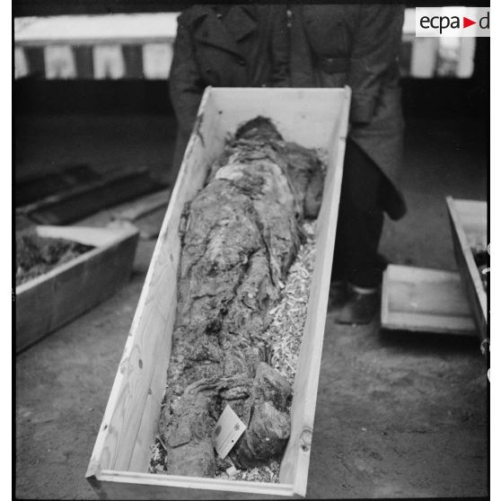 Cadavres de victimes de la répression allemande durant l'Occupation à La Doua reposant dans des cercueils.