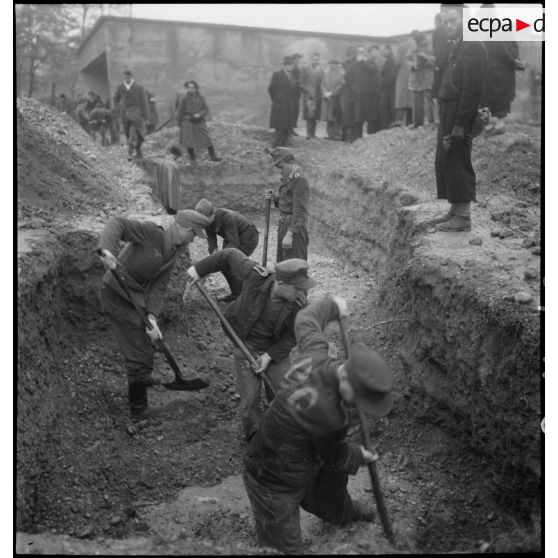 Exhumation des corps de victimes de la répression allemande durant l'Occupation à La Doua.