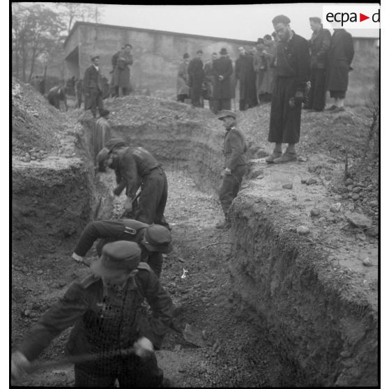 Exhumation des corps de victimes de la répression allemande durant l'Occupation à La Doua.