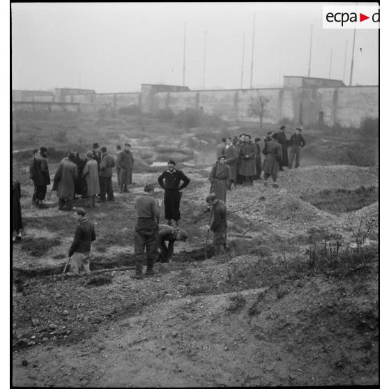 Exhumation des corps de victimes de la répression allemande durant l'Occupation à La Doua.