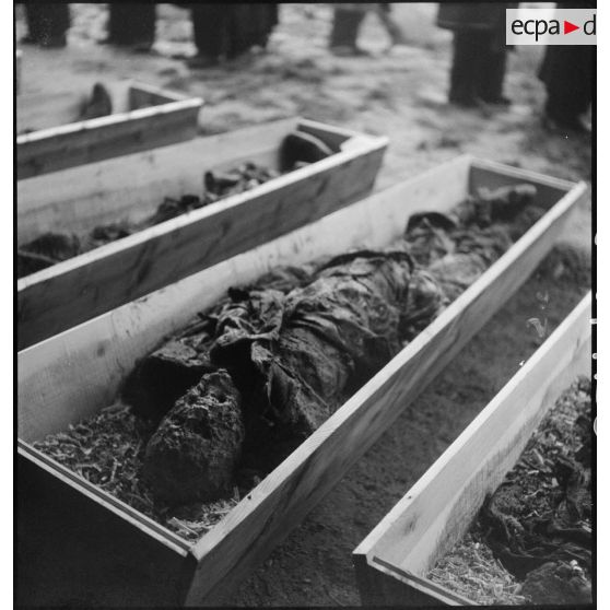 Cadavres de victimes de la répression allemande durant l'Occupation à La Doua reposant dans des cercueils.