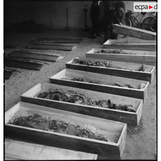 Cadavres de victimes de la répression allemande durant l'Occupation à La Doua reposant dans des cercueils.