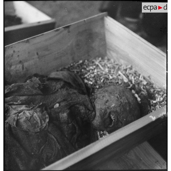 Cadavres de victimes de la répression allemande durant l'Occupation à La Doua reposant dans des cercueils.