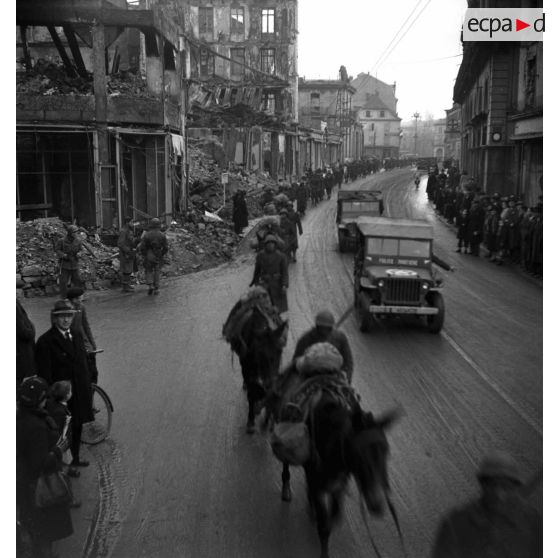 Correspond au reportage TERRE 359 et non TERRE 329.