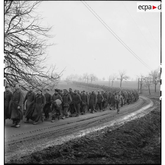 Colonne de prisonniers de guerre allemands sur une route dans le secteur de Dannemarie capturés lors de la reconquête de la région par la 5e DB.