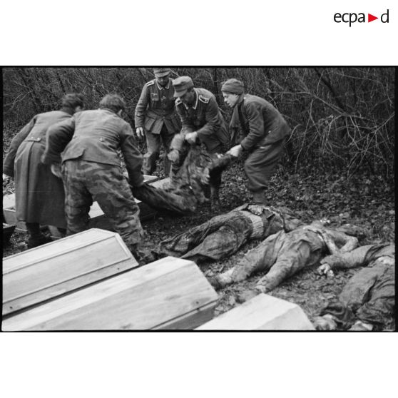 Exhumation des corps de résistants fusillés par des prisonniers allemands le 10 octobre 1944 à Banvillars.