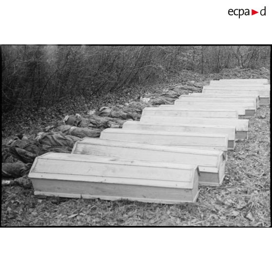 Exhumation des corps de 27 résistants fusillés par des prisonniers allemands le 10 octobre 1944 à Banvillars.