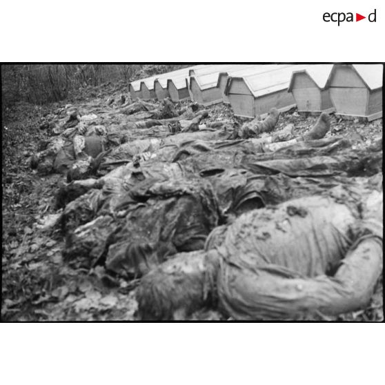 Exhumation des corps de 27 résistants fusillés par des prisonniers allemands le 10 octobre 1944 à Banvillars.