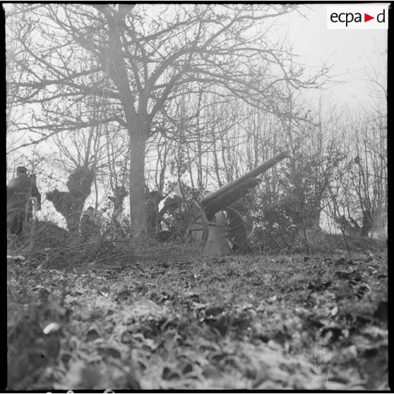 Plan général d'une pièce de 105 mm long modèle 1913 du 142e RA photographiée de trois quarts avant.