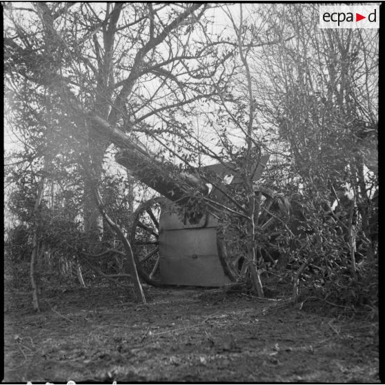Plan général d'une pièce de 105 mm long modèle 1913 du 142e RA photographiée de trois quarts avant.