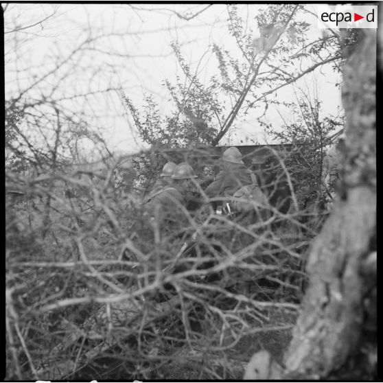 Plan général d'une pièce de 105 mm long modèle 1913 du 142e RA photographiée de trois quarts arrière.