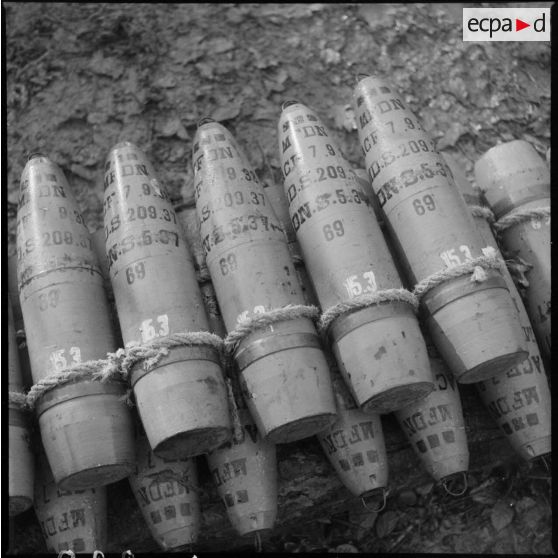 Plan rapproché d'obus stockés dans un bois près du village d'Audigny.