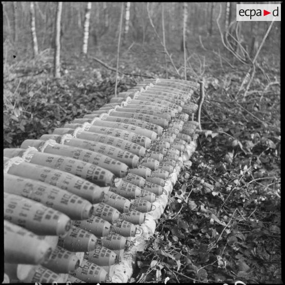 Plan moyen d'obus stockés dans un bois près du village d'Audigny.