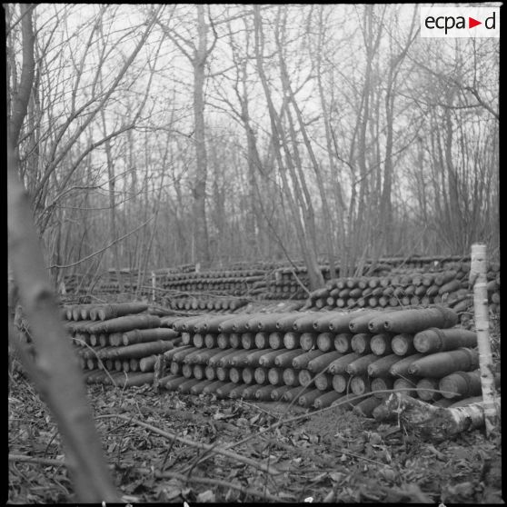 Plan moyen d'obus stockés dans un bois près du village d'Audigny.