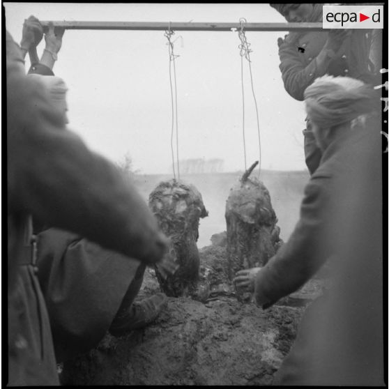Des tirailleurs du 4e RTM préparent des carcasses de moutons pour le méchoui.