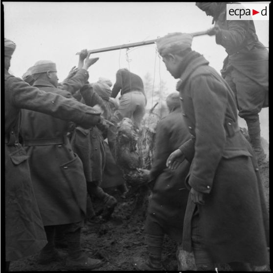 Des tirailleurs du 4e RTM préparent des carcasses de moutons pour le méchoui.