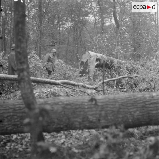 Arbres abattus pour former [un] barrage anti tank. [légende d'origine]