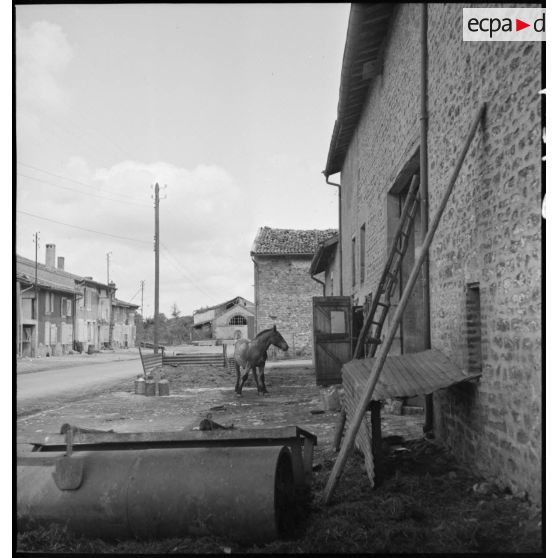 Près de la ligne de front, dans le secteur de la 2e armée, plan général d'une rue déserte d'un village évacué.