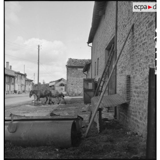 Près de la ligne de front, dans le secteur de la 2e armée, plan général d'une rue déserte d'un village évacué.
