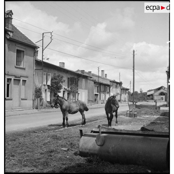 Près de la ligne de front, dans le secteur de la 2e armée, plan général d'une rue déserte d'un village évacué.