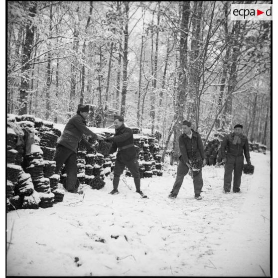 Plan général de soldats de la 2e armée qui travaillent dans une forêt enneigée.