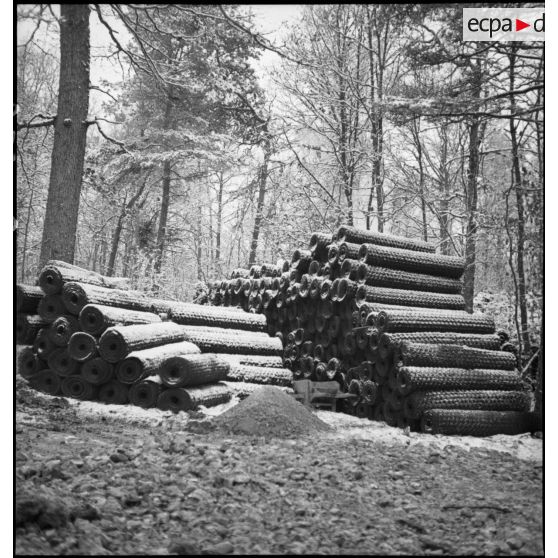 Plan général d'un tas de rouleaux de grillage dans une forêt enneigée.