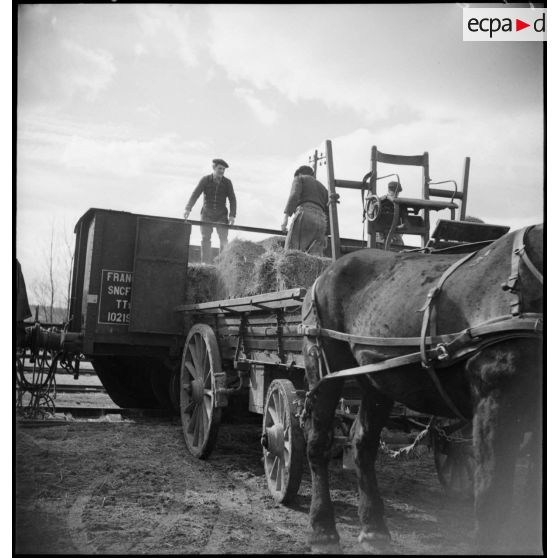 Des soldats déchargent un wagon de foin dans un centre de l'intendance de la 2e armée.