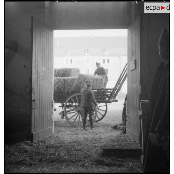 Des soldats déchargent une charrette de foin dans un centre de l'intendance de la 2e armée.
