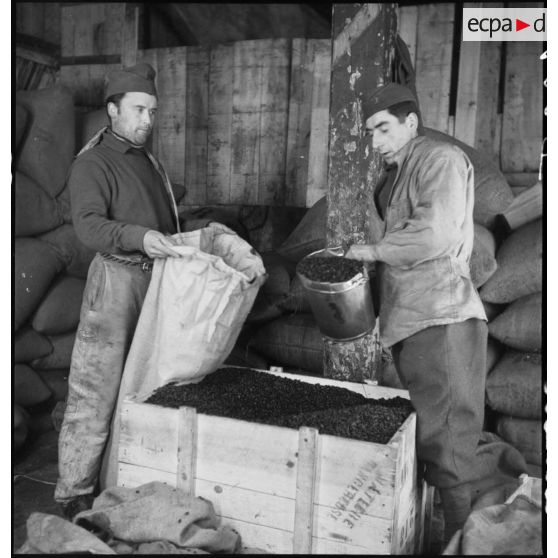 Photographie de groupe de soldats qui travaillent dans le magasin d'un centre de l'intendance de la 2e armée.