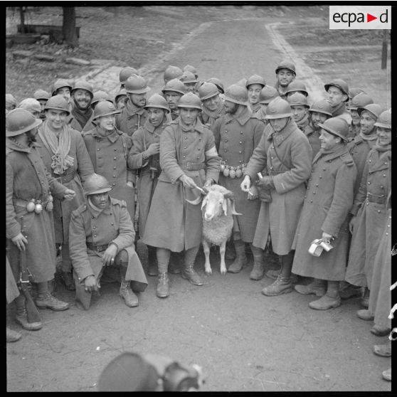 Photographie de groupe de tirailleurs marocains de la 3e armée autour de leur mascotte : un bouc.